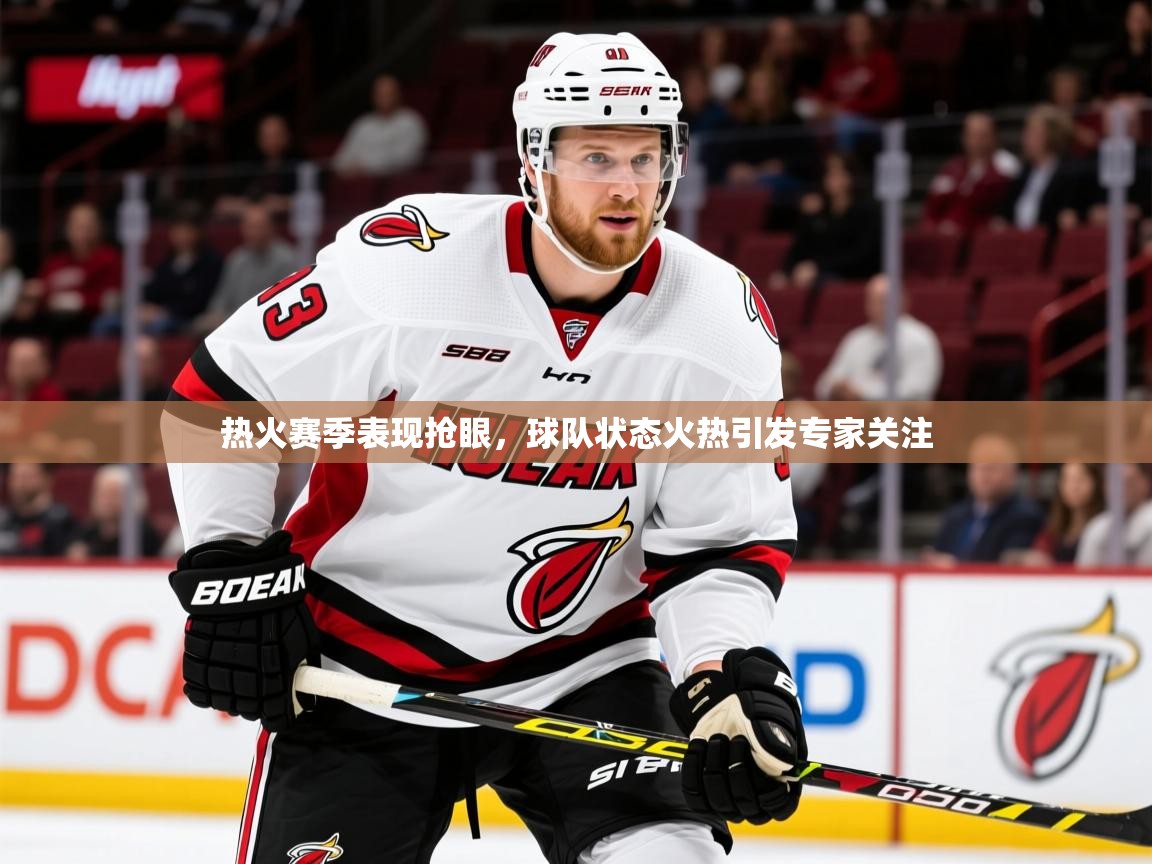 2025云开体育官网热火赛季表现抢眼，球队状态火热引发专家关注  第2张