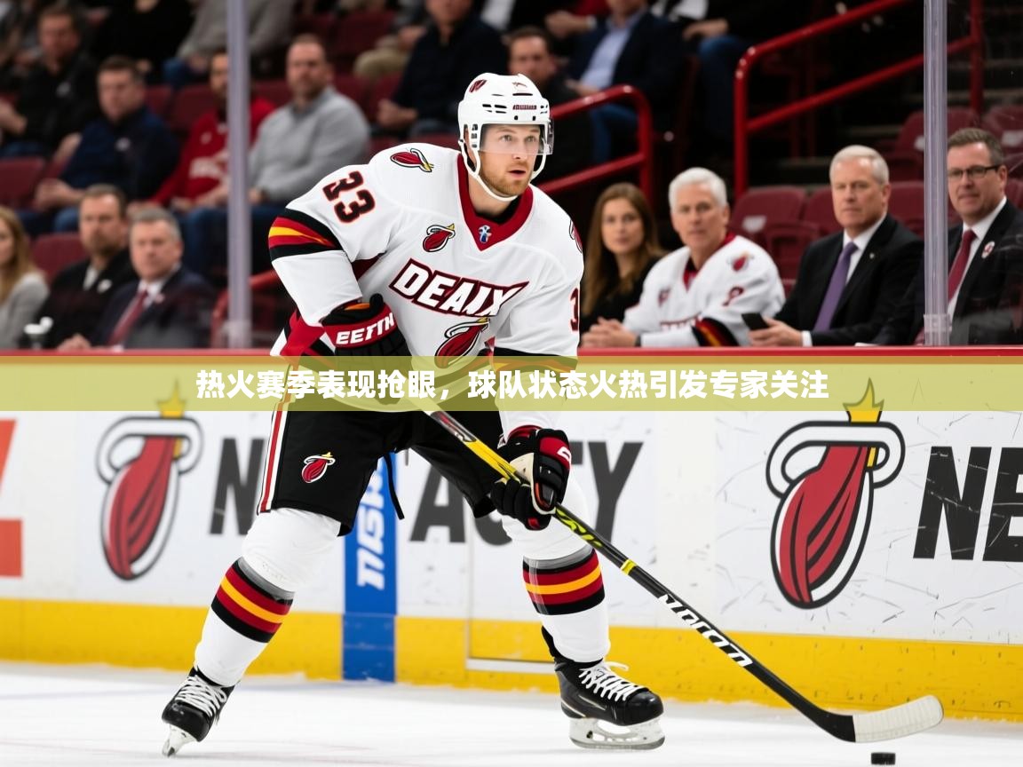 2025云开体育官网热火赛季表现抢眼，球队状态火热引发专家关注  第3张