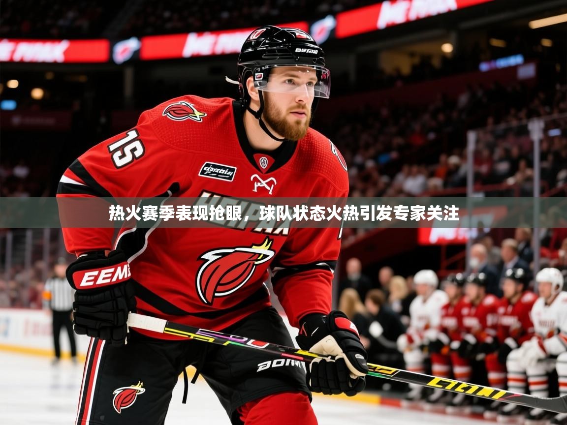 2025云开体育官网热火赛季表现抢眼，球队状态火热引发专家关注  第4张